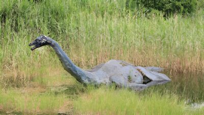 Elle pense avoir enfin résolu le mystère du monstre du Loch Ness grâce à ce documentaire