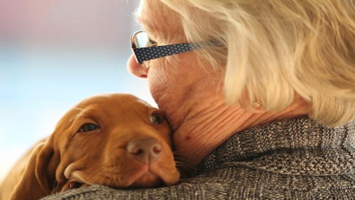 Les 5 grandes leçons que nous enseignent les chiens