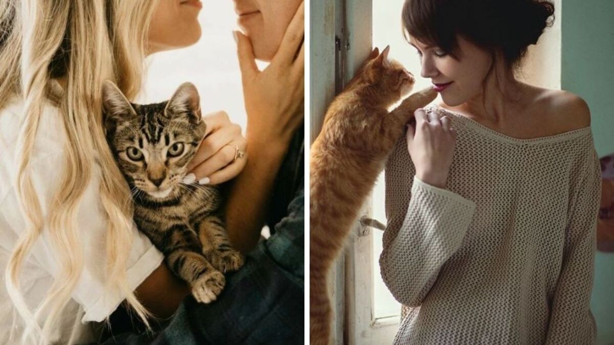 Voici la signification de l'arrivée d'un chat dans votre vie sans que vous l'ayez cherché