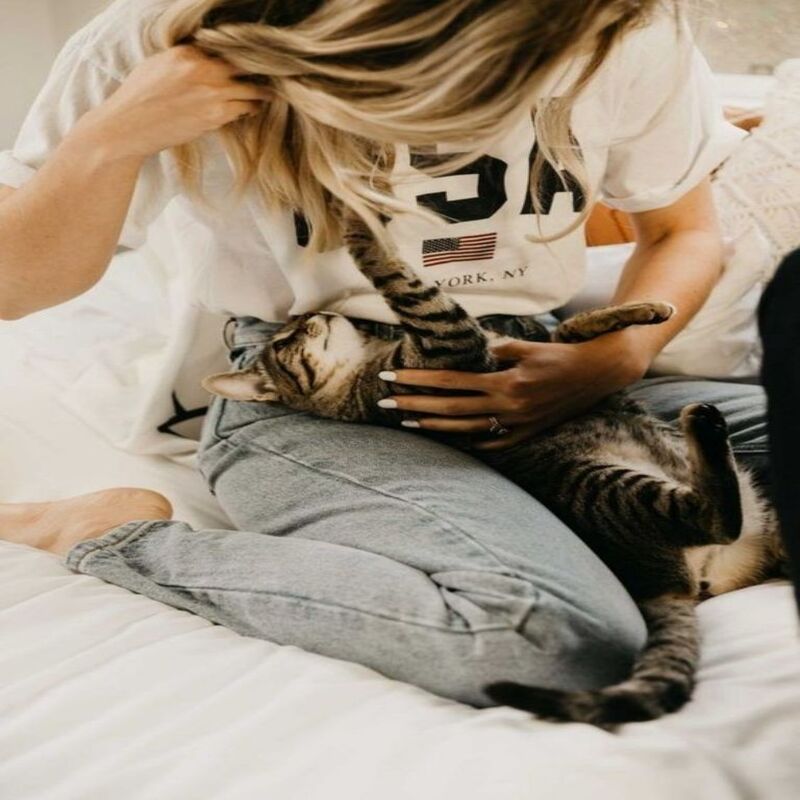Voici la signification de l'arrivée d'un chat dans votre vie sans que vous l'ayez cherché