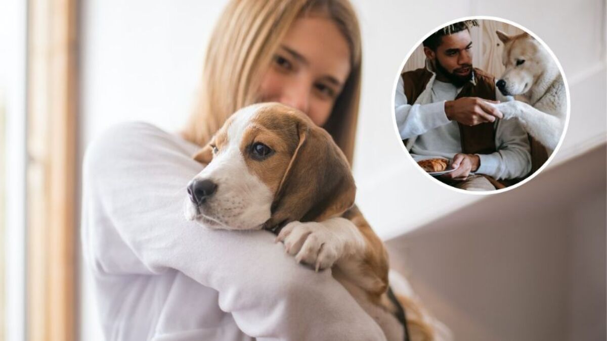Test en 5 questions pour savoir si votre chien est vraiment heureux