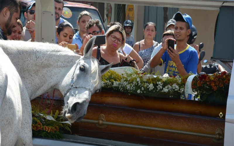 Un cheval en deuil pleure sur le cercueil de son propriétaire après l'avoir reniflé une dernière fois