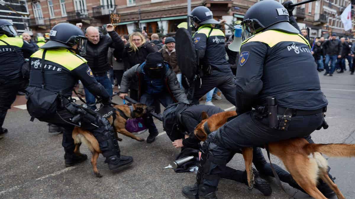Un chien policier mord violemment un homme lors d'une manifestation qui dégénère