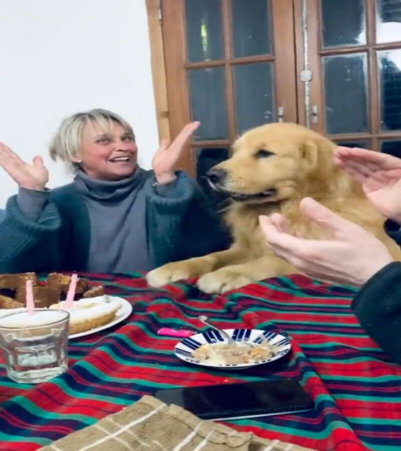 Un chien s'excite lorsqu'il voit sa famille réunie pour lui chanter un "joyeux anniversaire".