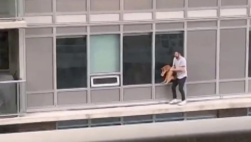 Un homme passe d'un balcon à l'autre pour sauver son chat