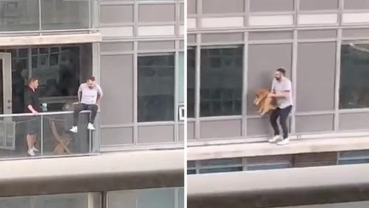 Un homme passe d'un balcon à l'autre pour sauver son chat
