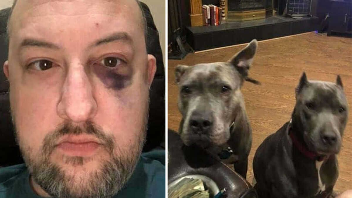 Un homme sauve deux pitbulls abandonnés, qui vont également lui sauver la vie