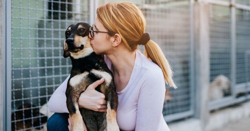 Un vétérinaire révèle pourquoi vous devriez arrêter de faire des câlins à votre chien