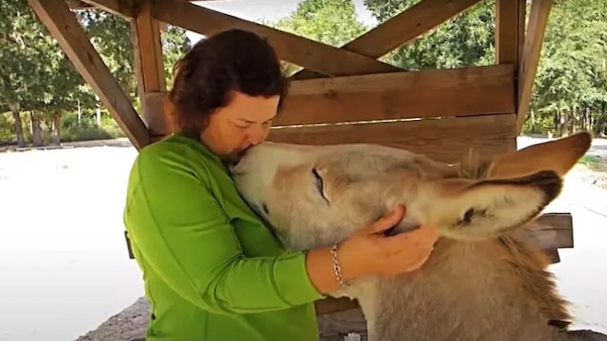 Une femme et son âne laissent tout le monde sans voix, incroyable !