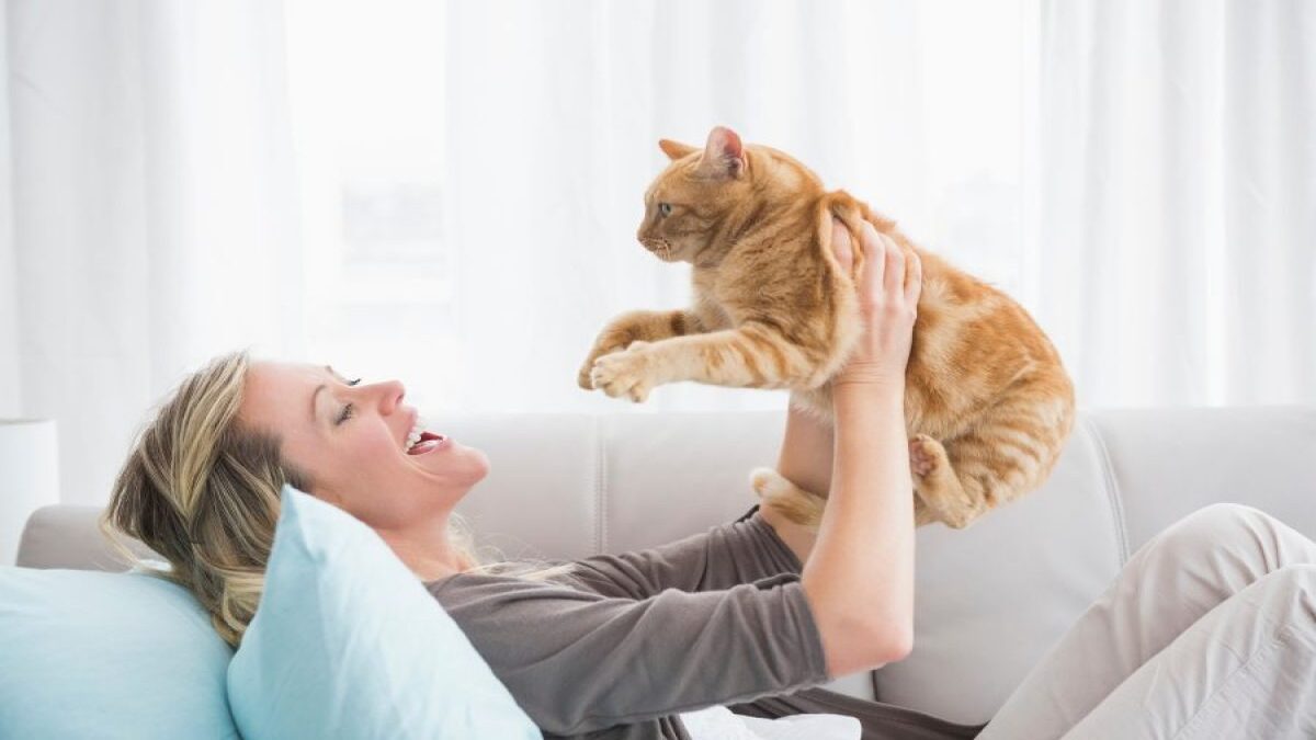 Voici 5 avantages d'avoir un chat à la maison