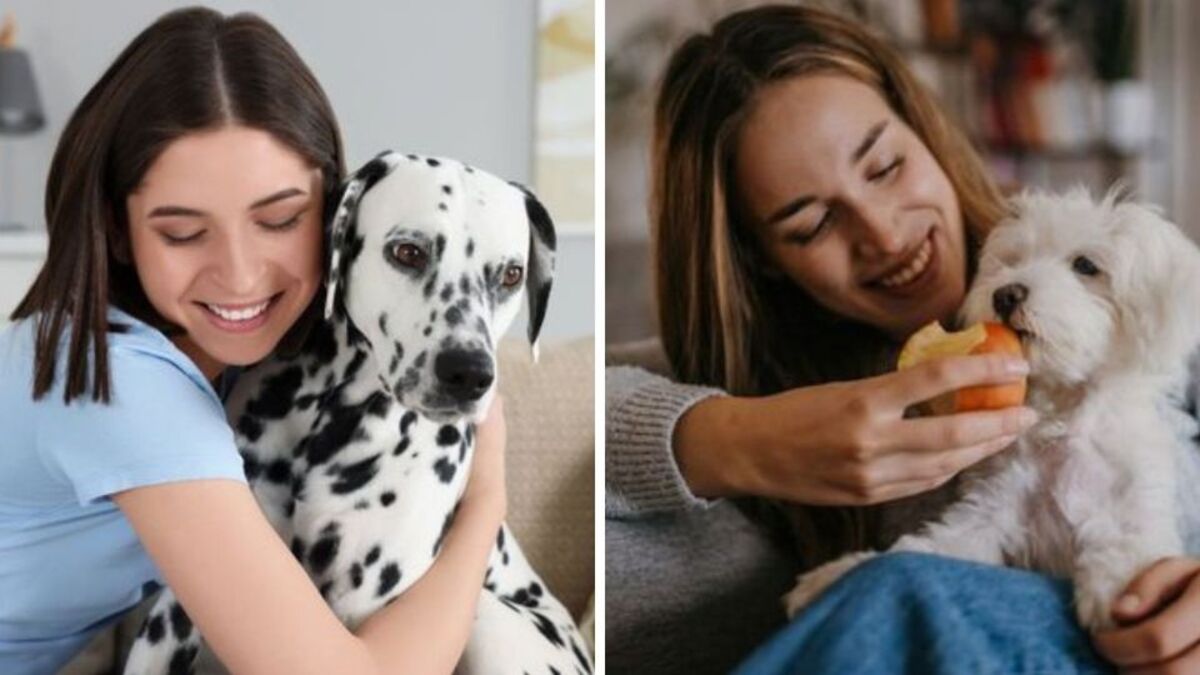 5 habitudes que tout bon propriétaire de chien devrait suivre