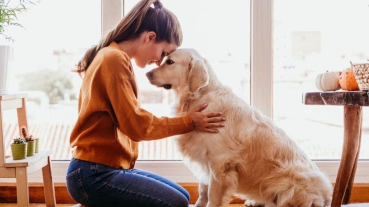 5 signes révélateurs que votre chien est heureux et en bonne santé