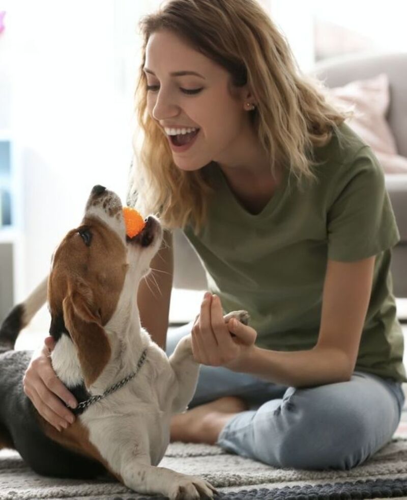 5 signes révélateurs que votre chien est heureux et en bonne santé