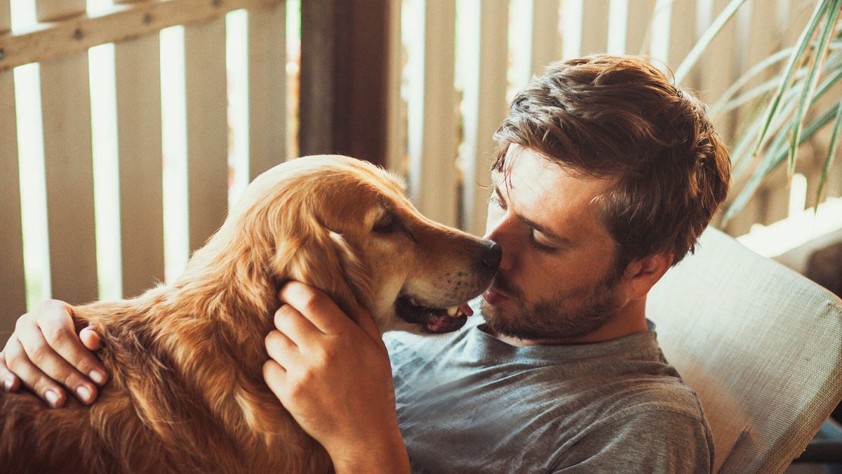 6 façons dont les chiens montrent leur affection aux humains