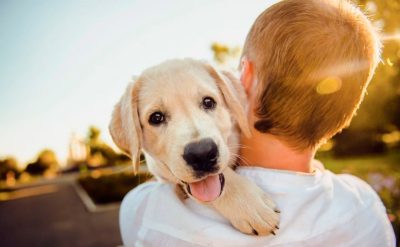 6 façons dont les chiens montrent leur affection aux humains