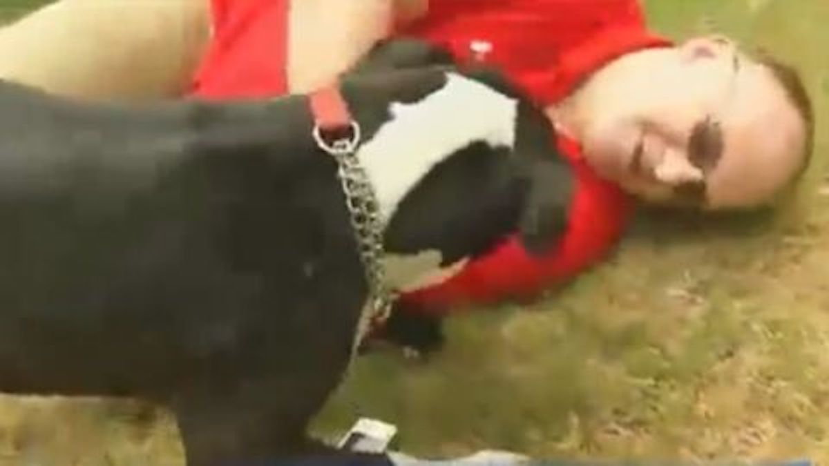 Ce chien sauve la vie de son propriétaire inconscient sur le sol d’une façon inimaginable, un héros