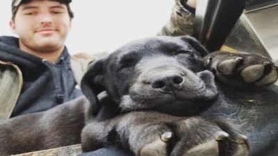 Ce chiot sourd est rejeté par tous, il l’adopte et lui apprend le langage des signes, incroyable !