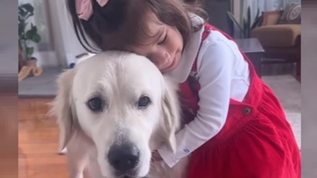 Ce Golden Retriever est le meilleur baby-sitter au monde, il est incroyable !