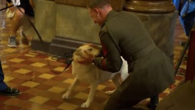 Ce militaire et sa chienne ne se sont pas vus depuis des années, leurs retrouvailles déchirantes