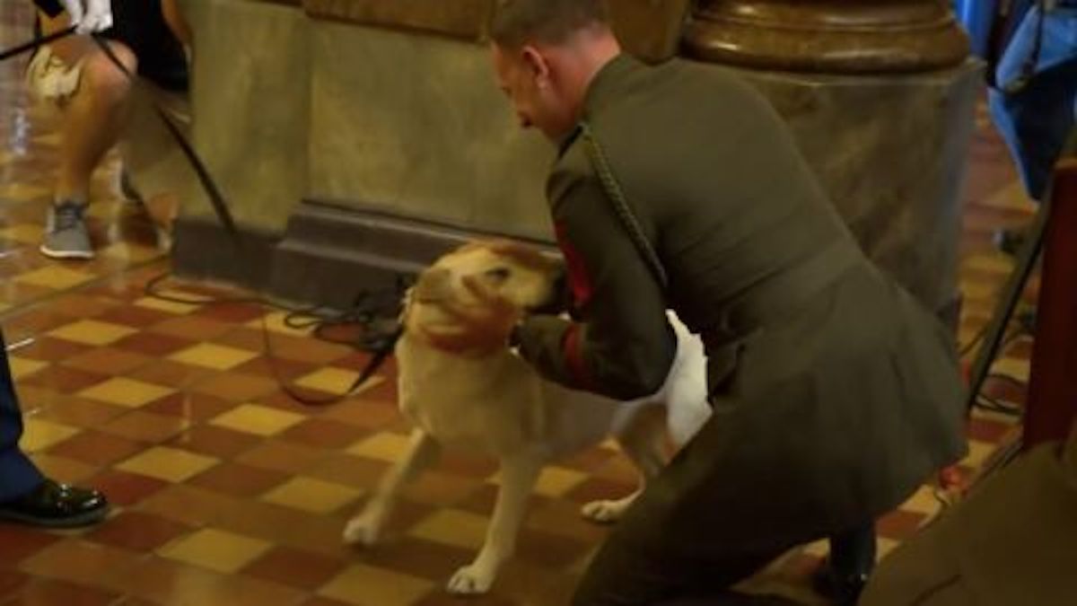 Ce militaire et sa chienne ne se sont pas vus depuis des années, leurs retrouvailles déchirantes