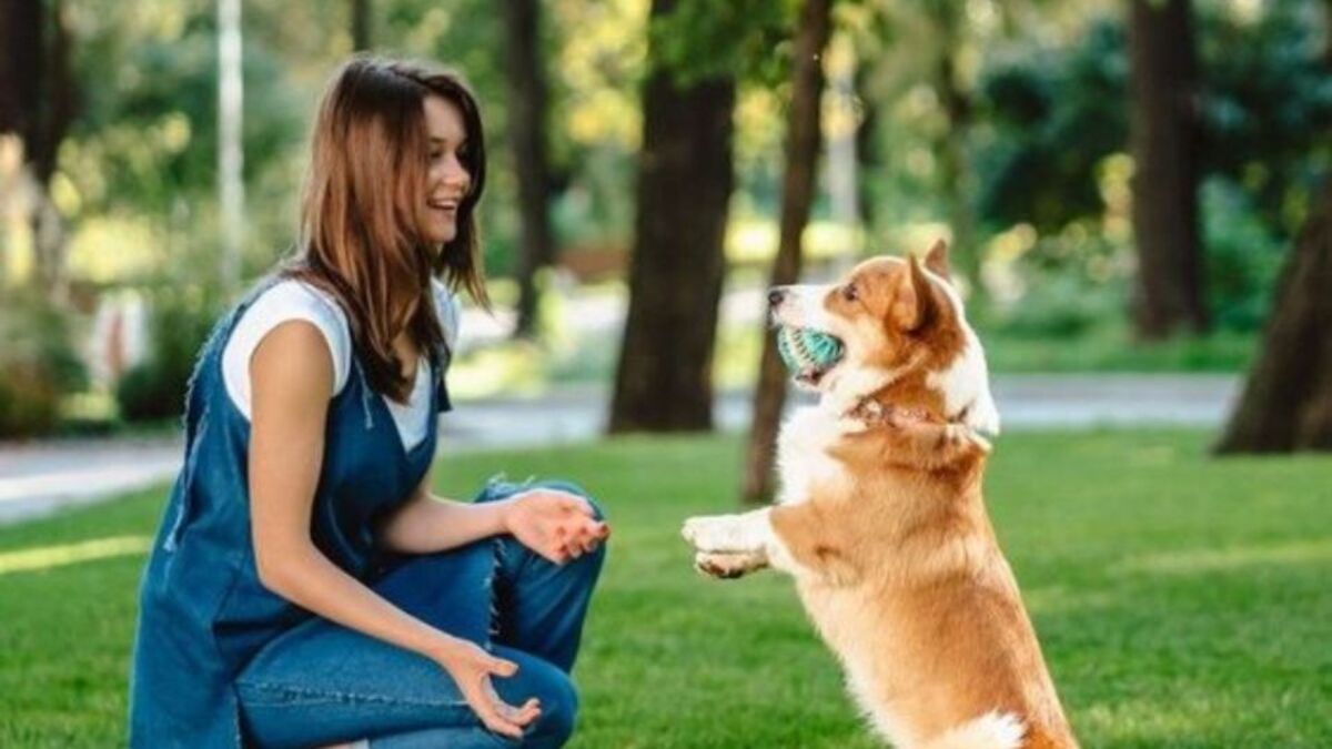 Comment dire je t'aime à votre chien ? Découvrez les diverses façons