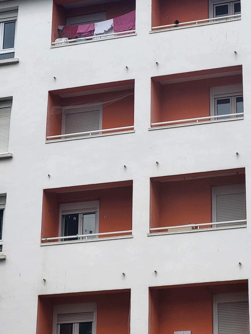 des-chats-tombent-regulierement-dun-balcon-au-4e-etage-une-voisine-fait-un-signalement