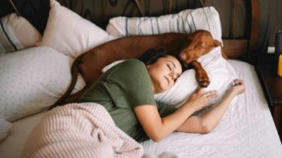 Quel est le meilleur endroit pour faire dormir un chien ?