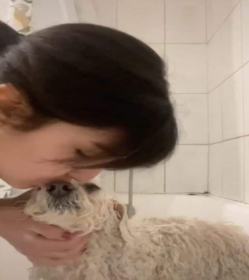 Une jeune femme partage sur la Toile l'adieu bouleversant qu'elle a fait à son chien