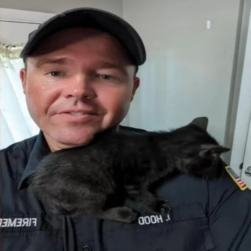 Un pompier sauve un chaton coincé dans un tuyau et l'adopte