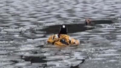 Un pompier risque sa vie pour sauver ce chien piégé dans les eaux glacées, un vrai héros !