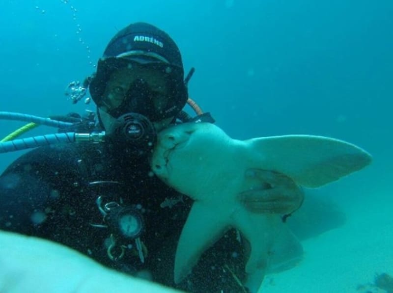 Une femelle requin se précipite pour étreindre un plongeur chaque fois qu'elle le voit, ils sont amis depuis des années !