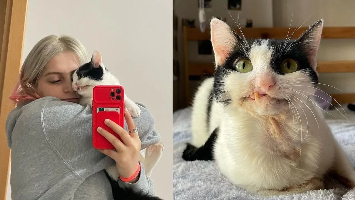 Une femme sauve un chaton spécial, et il la remercie avec son plus beau sourire