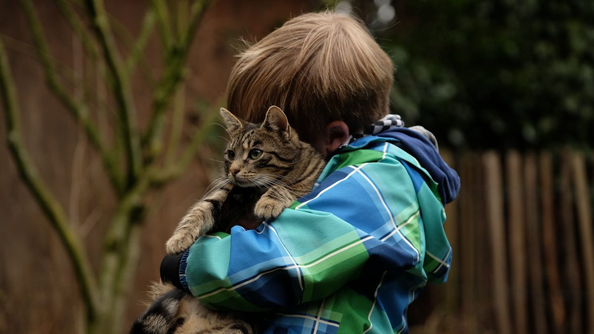 5 avantages d'avoir un chat à la maison pour les enfants
