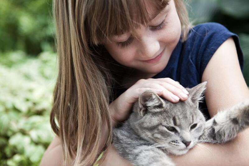 5 avantages d'avoir un chat à la maison pour les enfants