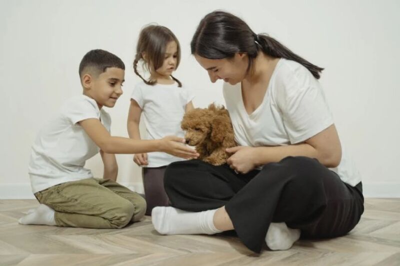 5 avantages d'avoir un chien dans un foyer avec des enfants