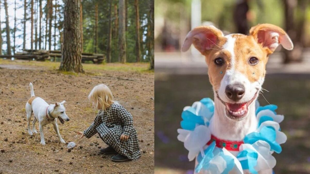 5 avantages d'avoir un chien dans un foyer avec des enfants