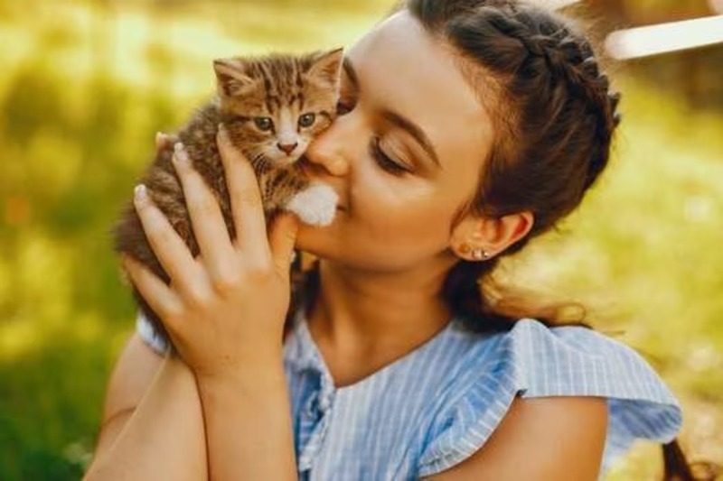 Ce que font les chats pour demander de l'affection à leur maître