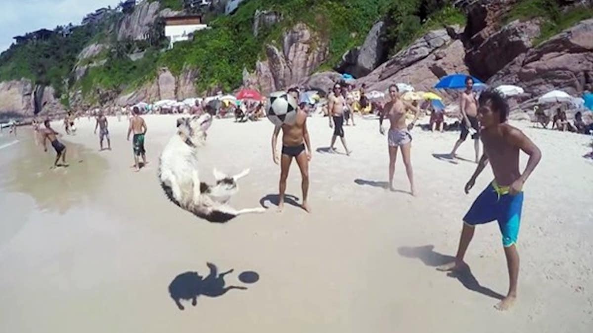 Ces jeunes jouent au ballon sur la plage, un chien débarque dans la partie et les sidère tous