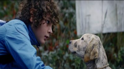 Cet enfant trouve un chien abandonné, sa vie va basculer pour toujours