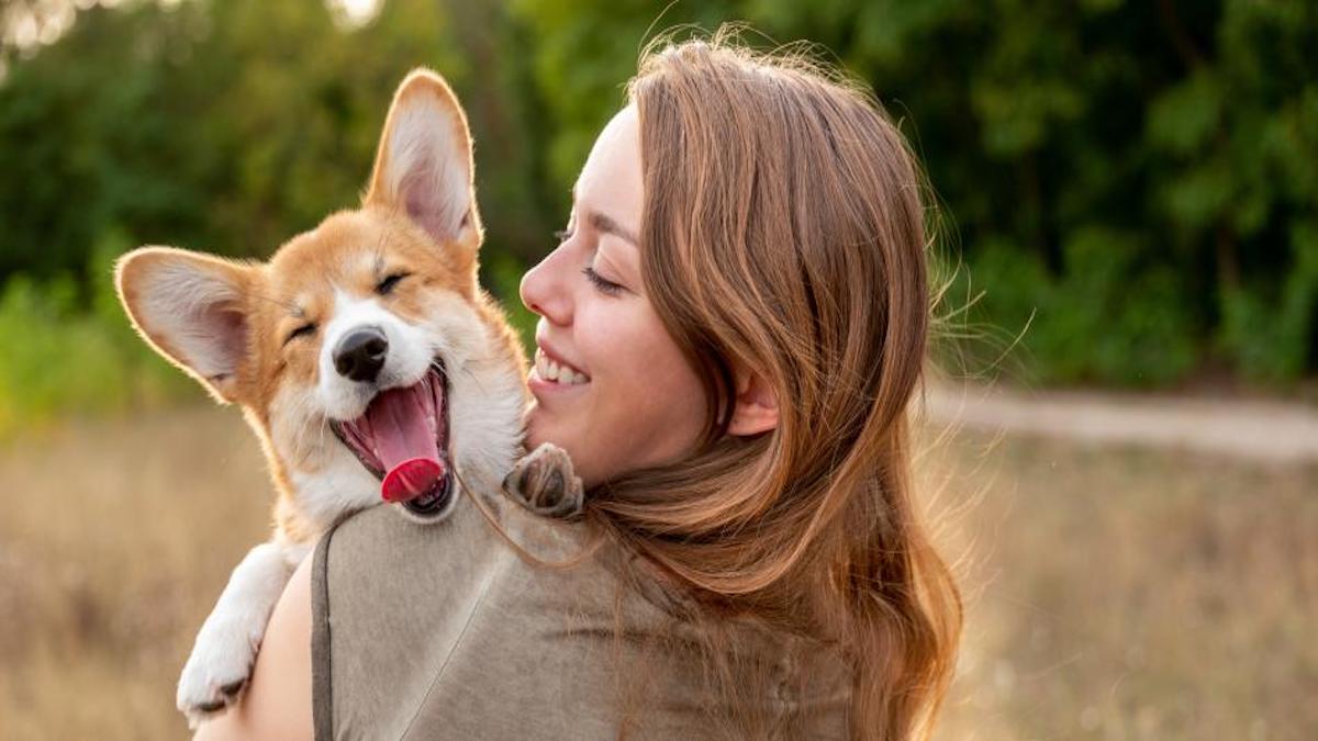 Comment garder votre chien heureux et en bonne santé, conseils d'experts !