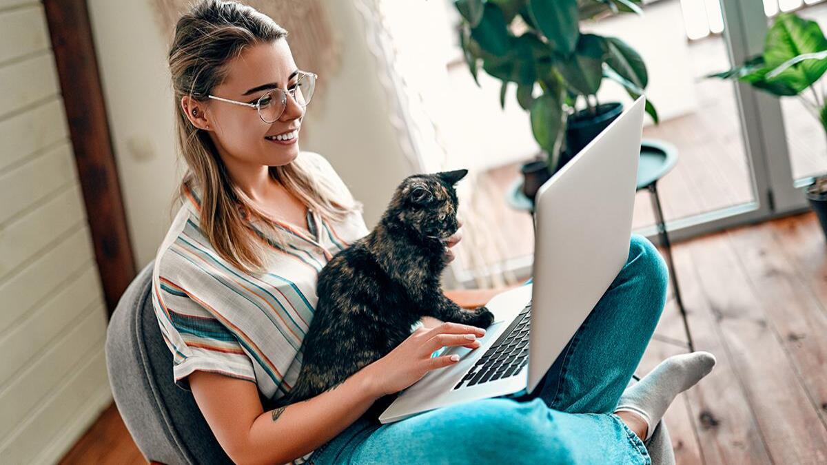 Comment protéger votre ordinateur si vous avez un chat à la maison