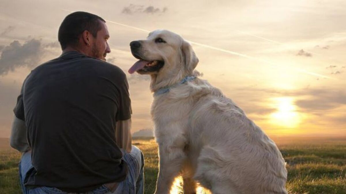 Comment savoir si je suis le meilleur ami de mon chien