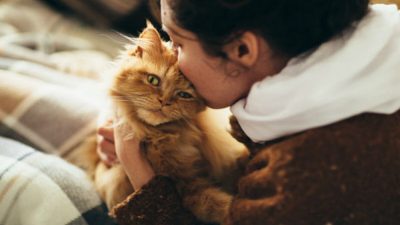 Découvrez la raison fascinante pour laquelle votre chat vous embrasse sur la bouche