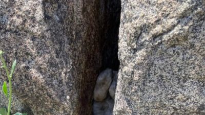 Des ouvriers entendent des cris sur le chantier et voient une forme effrayante dans les rochers