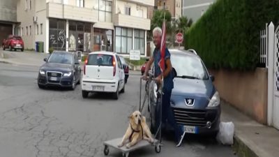 Elle filme un homme qui balade son chien dans un chariot, la raison va vous fendre le cœur