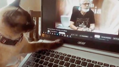 Elle montre à son chat une vidéo de son père décédé : sa réaction est inimaginable