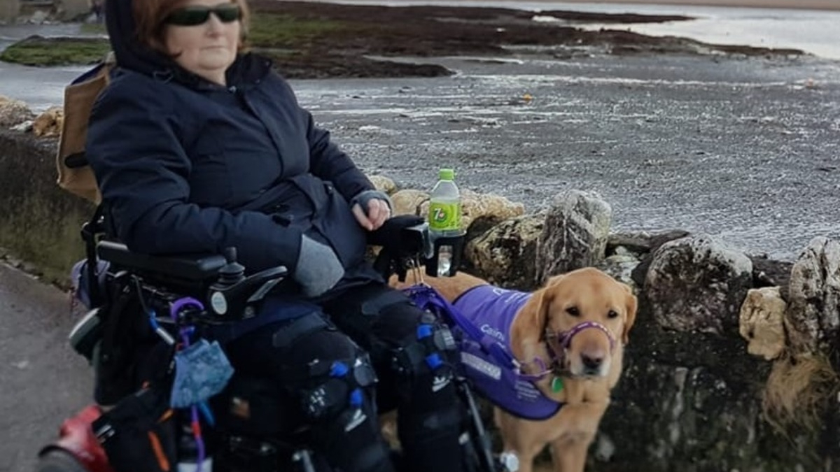 L'histoire inspirante de Sue et de son Labrador montre à quel point les chiens sont précieux, "Il a transformé ma vie"