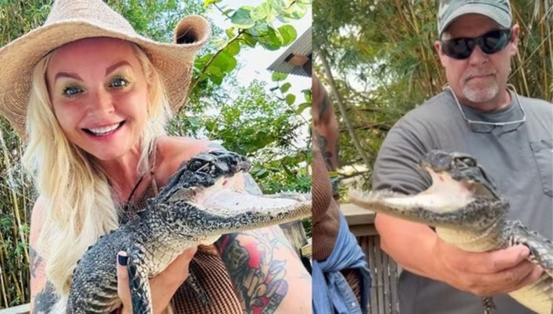 Un alligator sans mâchoire supérieure trouve un nouveau foyer