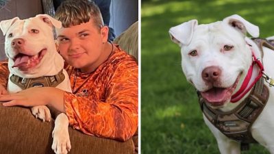 Un garçon sourd adopte un chien atteint de la même maladie, leur lien est magnifique