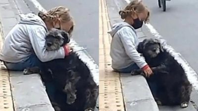 Une vieille chienne attend l'enfant de la famille à la porte de l'école tous les jours